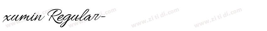xumin Regular字体转换
